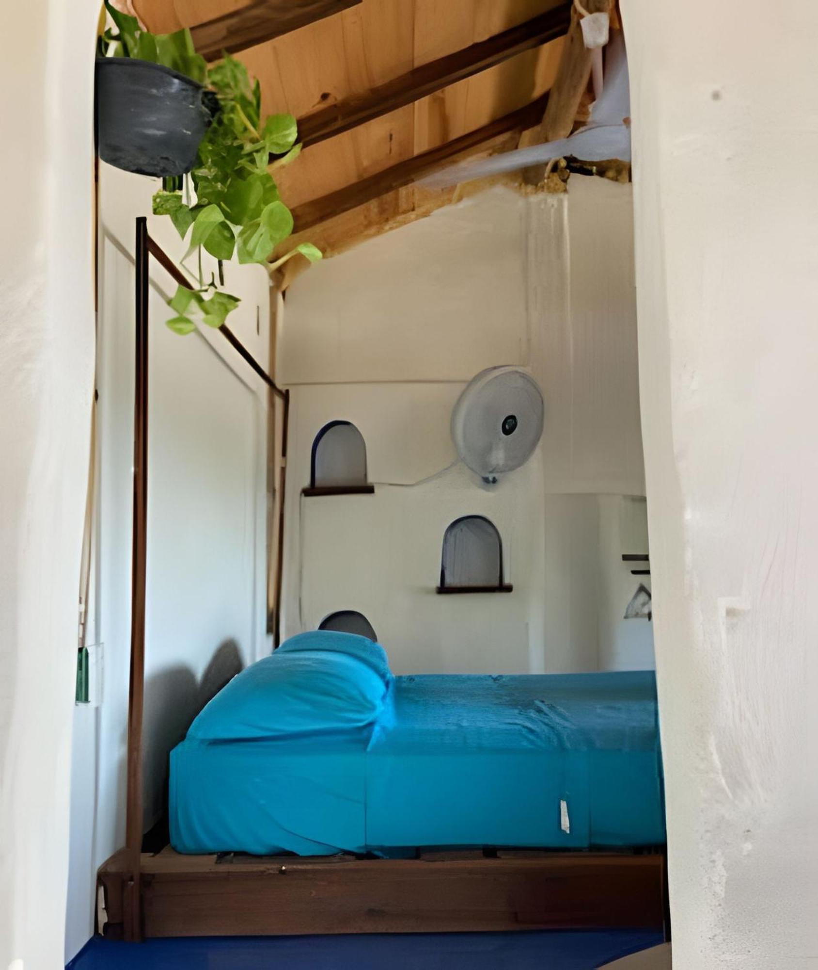 Mixtli Ecohouse, Habitaciones Sol & Luna - Starlink Internet San Pedro Pochutla Ngoại thất bức ảnh